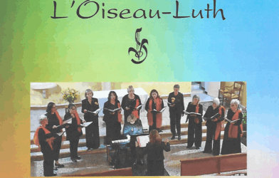 CONCERT ASOTA